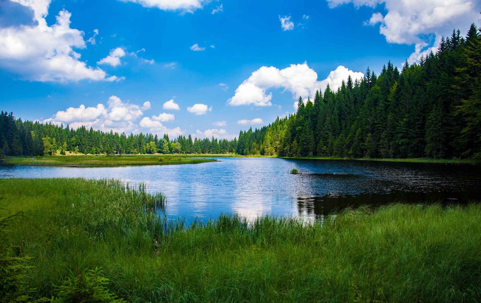 ACRN - Article - 10 Popular Destinations in and around the Adirondacks - Michael Murray