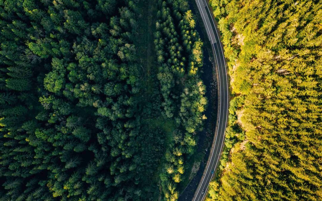 Unlock the Sky – Elevate Your Business with Drone Photography and Videography