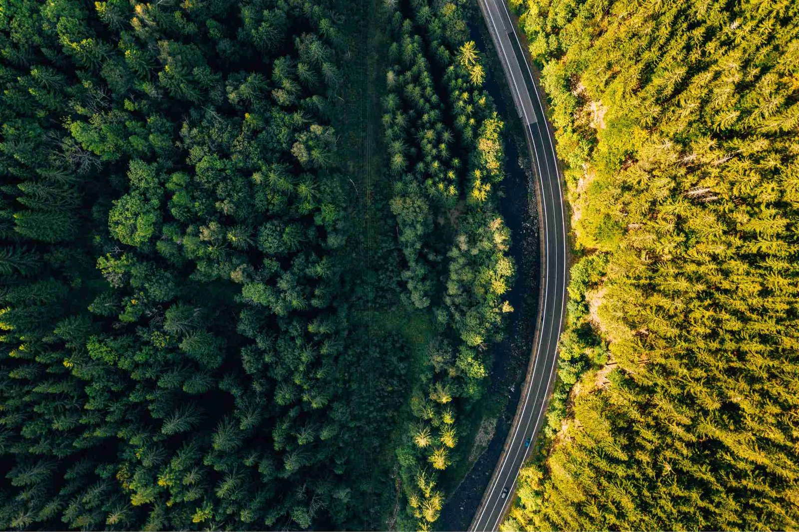 ACRN - Article - Drone Photography and Videography - Up North Drone