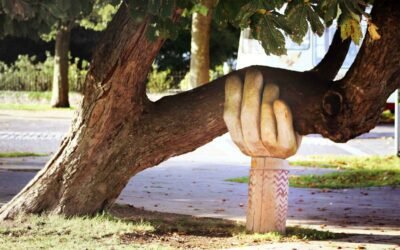 Empowering Communities: 7 Ways Individuals and Businesses Can Support Local Non-Profit Organizations