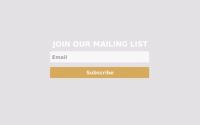 Harnessing the Power of Email Capture and Mailing Lists