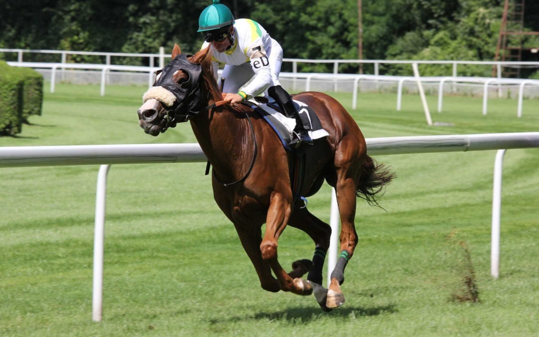 Racing Luck: Unveiling the Thrills of Horse Betting at Saratoga Race Course